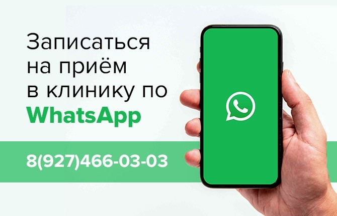 Запись на прием по WhatsApp - Новости